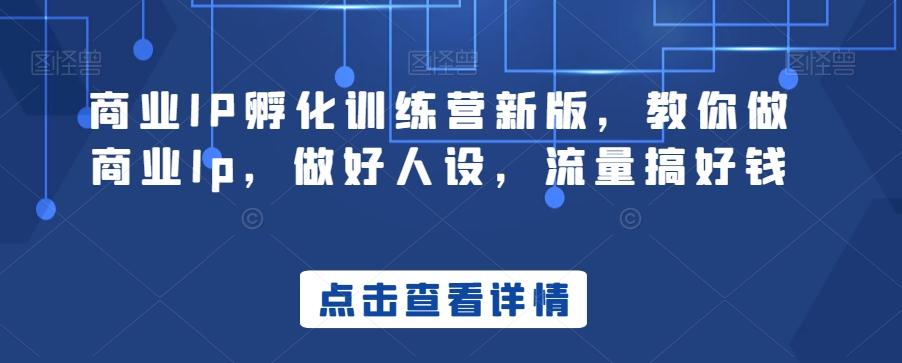 商业IP孵化训练营新版，教你做商业Ip，做好人设，流量搞好钱-情久项目网