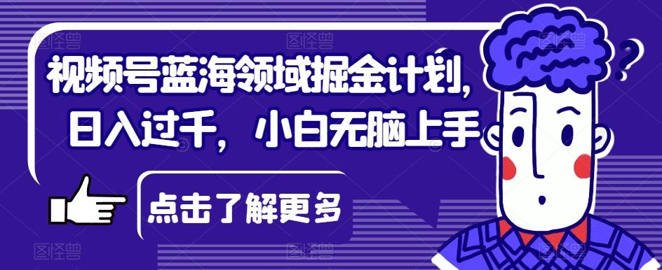 视频号蓝海领域掘金计划，日入过千，小白无脑上手【揭秘】-情久项目网