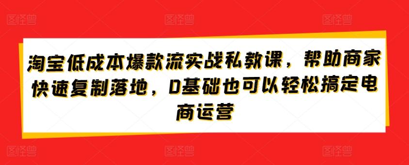 淘宝低成本爆款流实战私教课，帮助商家快速复制落地，0基础也可以轻松搞定电商运营-情久项目网