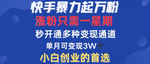 快手暴力起万粉，涨粉只需一星期，多种变现模式，直接秒开万合，单月变现过W【揭秘】-情久项目网