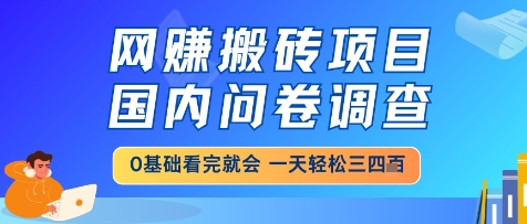 网创搬砖项目，国内问卷调查，小白轻松上手，一天三四张的也不难，干就完了【揭秘】-情久项目网