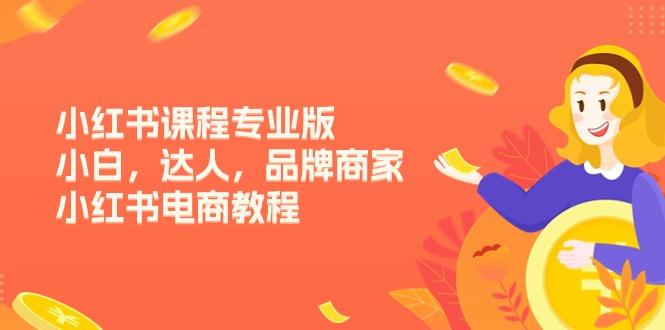 小红书课程专业版，小白，达人，品牌商家，小红书电商教程(15节-情久项目网