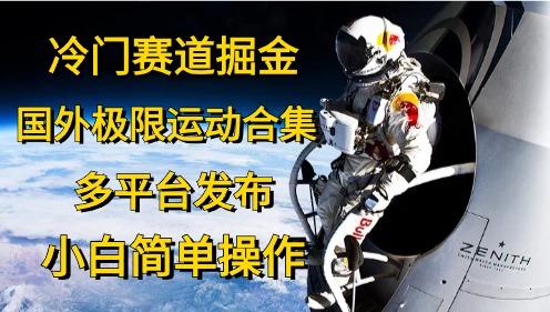 冷门赛道掘金，国外极限运动视频合集，多平台发布，小白简单操作-情久项目网