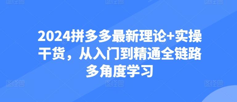 2024拼多多最新理论+实操干货，从入门到精通全链路多角度学习-情久项目网