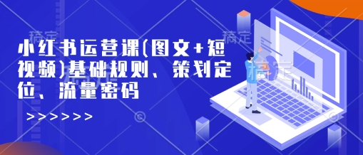 小红书运营课(图文+短视频)基础规则、策划定位、流量密码-情久项目网