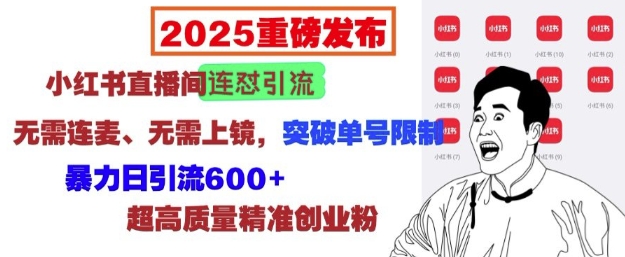 2025重磅发布：小红书直播间连怼引流，无需连麦、无需上镜，突破单号限制，暴力日引流600+-情久项目网