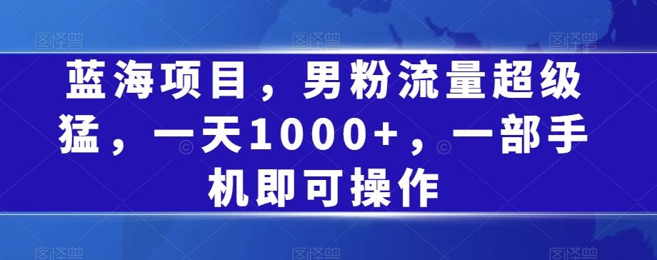 蓝海项目，男粉流量超级猛，一天1000+，一部手机即可操作【揭秘】-情久项目网