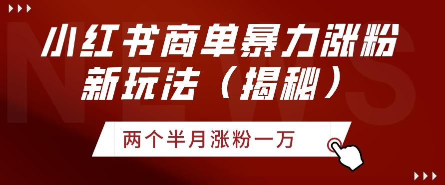小红书商单暴力涨粉新玩法两个半月涨粉一万（揭秘）-情久项目网