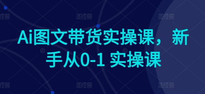 Ai图文带货实操课，新手从0-1 实操课-情久项目网