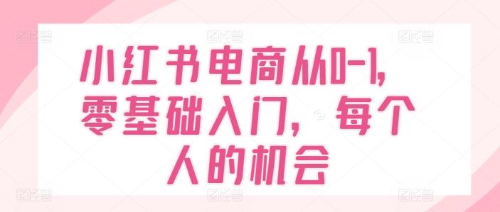 小红书电商从0-1，零基础入门，每个人的机会-情久项目网