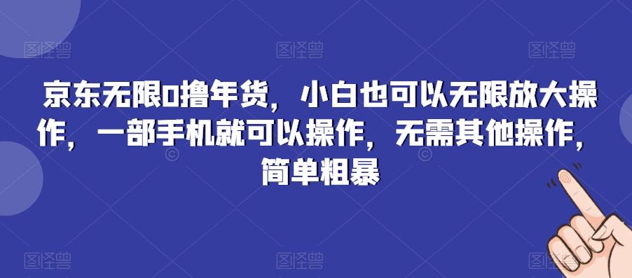 京东无限0撸年货，小白也可以无限放大操作，一部手机就可以操作，无需其他操作，简单粗暴-情久项目网