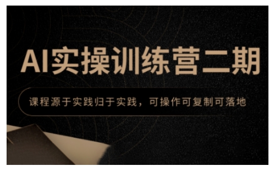 AI实操训练营二期，课程源于实践归于实践，可操作可复制可落地-情久项目网