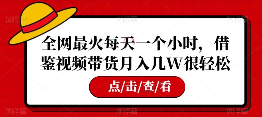 全网最火每天一个小时，借鉴视频带货月入几W很轻松【揭秘】-情久项目网