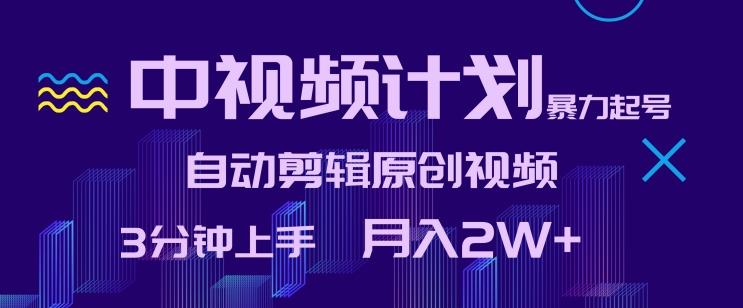 中视频计划暴力起号，自动剪辑原创视频，3分钟上手，月入2W+【揭秘】-情久项目网