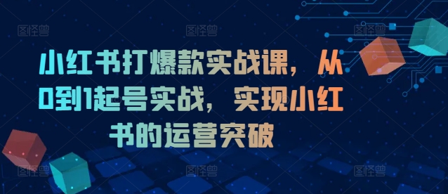 小红书打爆款实战课，从0到1起号实战，实现小红书的运营突破-情久项目网