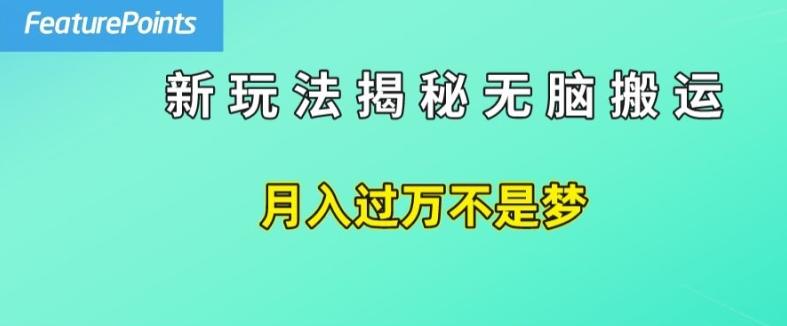 简单操作，每天50美元收入，搬运就是赚钱的秘诀【揭秘】-情久项目网