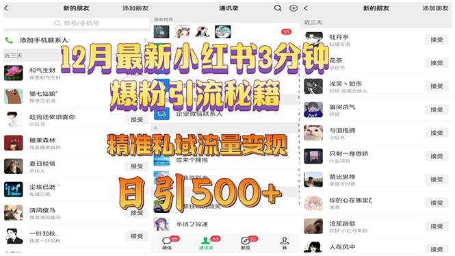 12月最新小红书3分钟爆粉引流秘籍 精准私域流量变现 日引500+-情久项目网