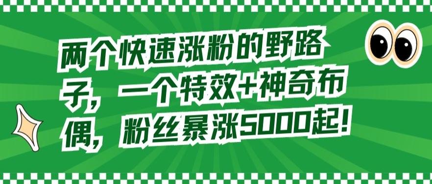 两个快速涨粉的野路子，一个特效+神奇布偶，粉丝暴涨5000起【揭秘】-情久项目网