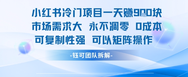 小红书冷门项目一天收益9张，市场需求大，0成本，可复制性强可以矩阵操作-情久项目网