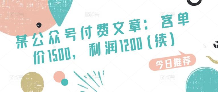 某公众号付费文章：客单价1500，利润1200(续)，市场几乎可以说是空白的-情久项目网