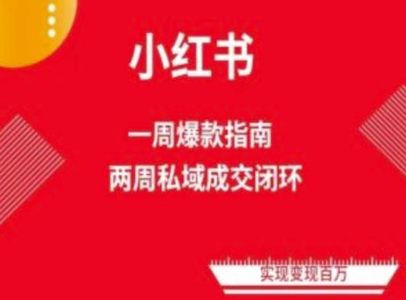 爆款小红书免费流量体系课程(两周变现)，小红书电商教程-情久项目网