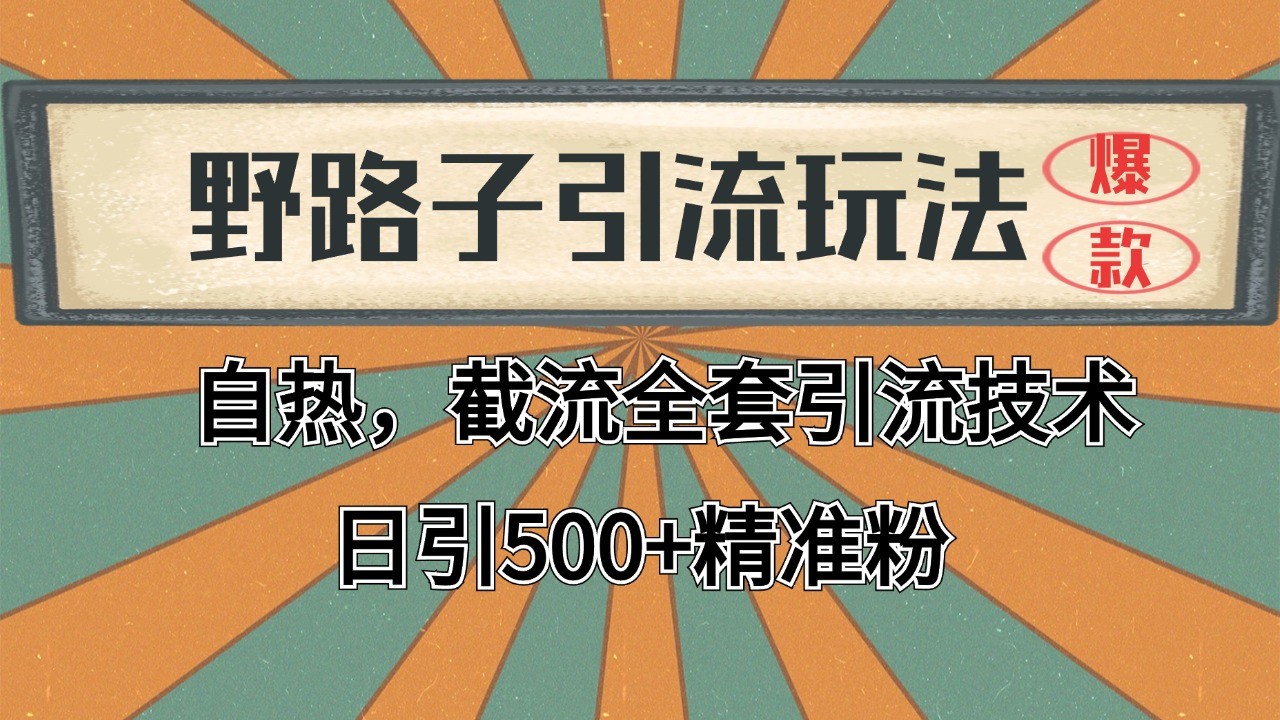 抖音小红书视频号全平台引流打法，全自动引流日引2000+精准客户-情久项目网