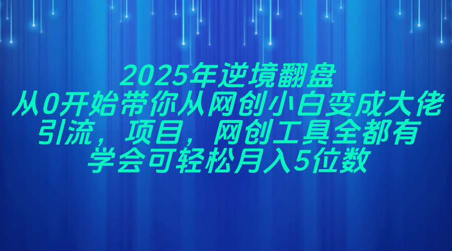 2025年逆境翻盘，从0开始带你从网创小白变成大佬，引流，项目，网创工...-情久项目网