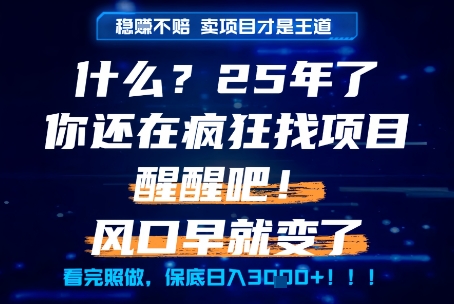 什么？25年你还在疯狂找项目做，醒醒吧，看完这些你全都懂了！【揭秘】-情久项目网