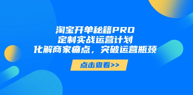 淘宝开单秘籍PRO，定制实战运营计划，化解商家痛点，突破运营瓶颈-情久项目网