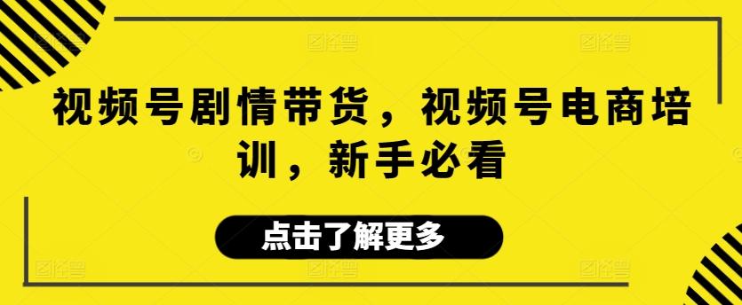 视频号剧情带货，视频号电商培训，新手必看-情久项目网