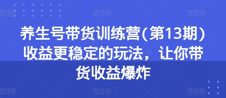 养生号带货训练营(第13期)收益更稳定的玩法，让你带货收益爆炸-情久项目网