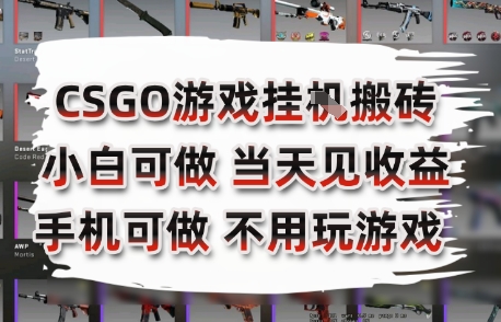 CSGO游戏挂G搬砖，小白纯手机即可操作，不用电脑打游戏，日入3张+，副业网创项目【揭秘】-情久项目网