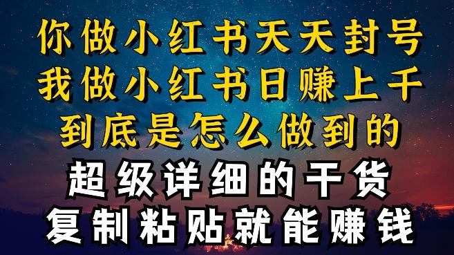 都知道小红书能引流私域变现，可为什么我能一天引流几十人变现上千，但你却频频封号违规被限流【揭秘】-情久项目网
