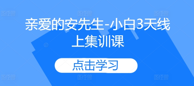 亲爱的安先生-小白3天线上集训课-情久项目网