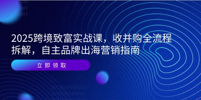 2025跨境致富实战课，收并购全流程拆解，自主品牌出海营销指南-情久项目网