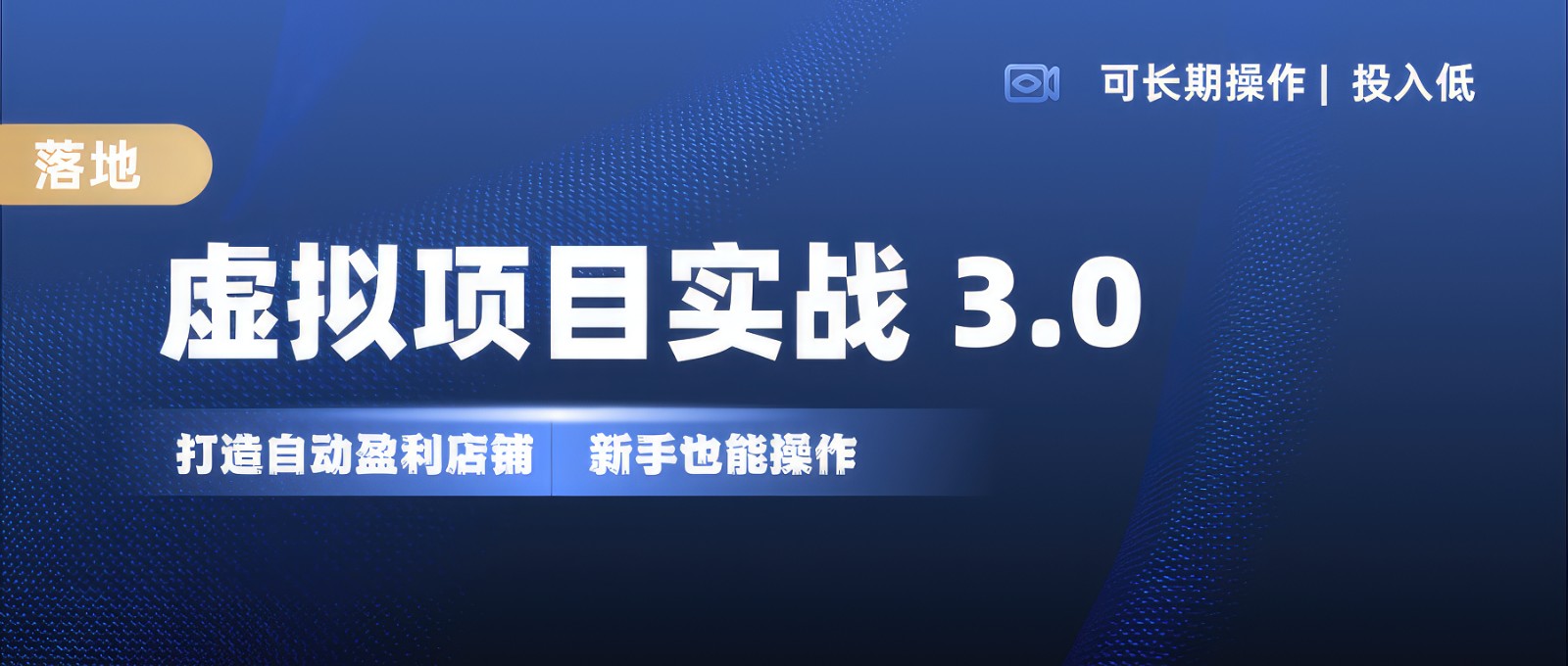 虚拟项目实操落地 3.0,新手轻松上手，单品月入1W+-情久项目网