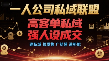 一人公司私域联盟，高客单私域，强人设成交，建私域 搞发售 广结盟 造势能-情久项目网