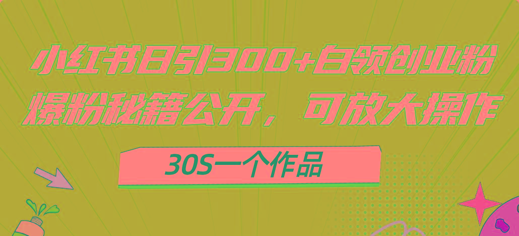 小红书日引300+高质白领创业粉，可放大操作，爆粉秘籍！30s一个作品-情久项目网