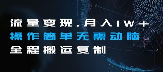 流量变现，月入1W+操作简单无需动脑全程搬运复制【揭秘】-情久项目网