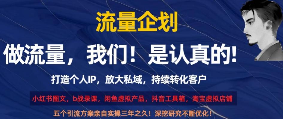 流量企划，打造个人IP，放大私域，持续转化客户【揭秘】-情久项目网