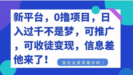 不要再花冤枉钱了，0撸项目，每天坚持，稳定1000+-情久项目网