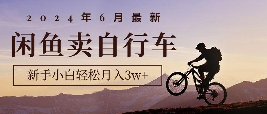 2024年6月最新闲鱼卖自行车，新手小白轻松月入3w+项目-情久项目网