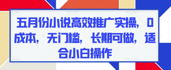 五月份小说高效推广实操，0成本，无门槛，长期可做，适合小白操作-情久项目网