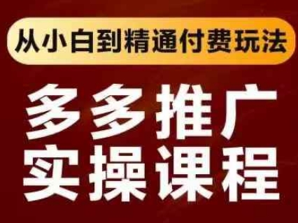 拼多多推广实操课程，从小白到精通付费玩法-情久项目网