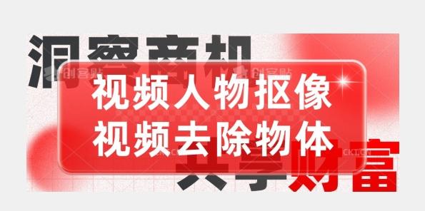 【超强视频处理工具】视频人物抠像+视频去除物体-情久项目网