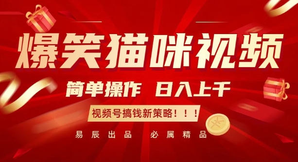 爆笑猫咪视频：简单操作，日入过K，视频号搞钱新策略【揭秘】-情久项目网