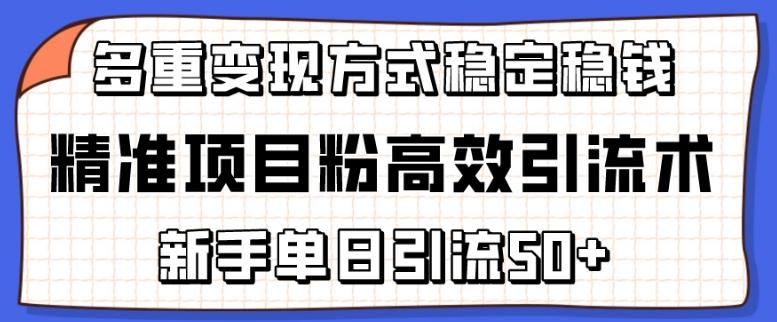 精准项目粉高效引流术，新手单日引流50+，多重变现方式稳定赚钱【揭秘】-情久项目网