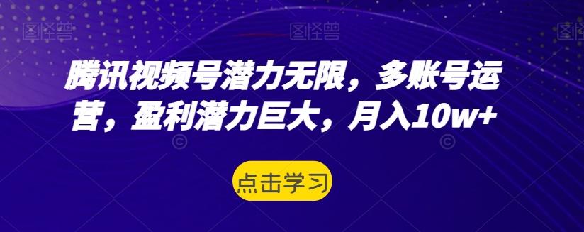 腾讯视频号潜力无限，多账号运营，盈利潜力巨大，月入10w+-情久项目网