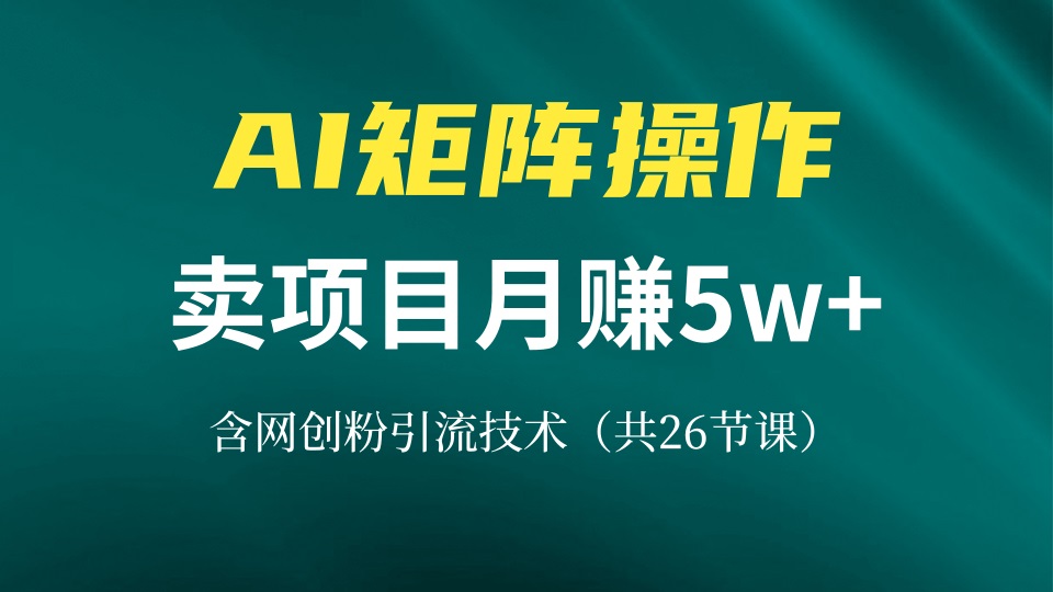 网创IP打造课，借助AI卖项目月赚5万+，含引流技术(共26节课-情久项目网
