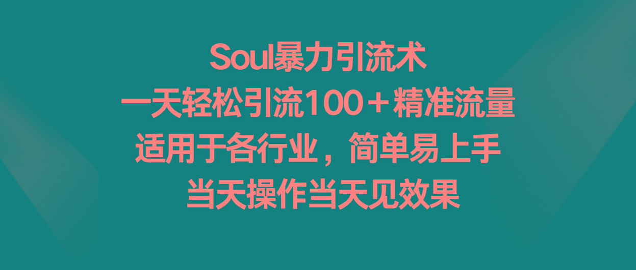 Soul暴力引流术，一天轻松引流100＋精准流量，适用于各行业，简单易上手！-情久项目网